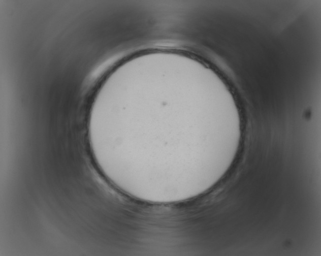 X0000115731456200912241616