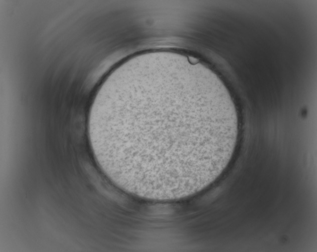 X0000115731457200912241616