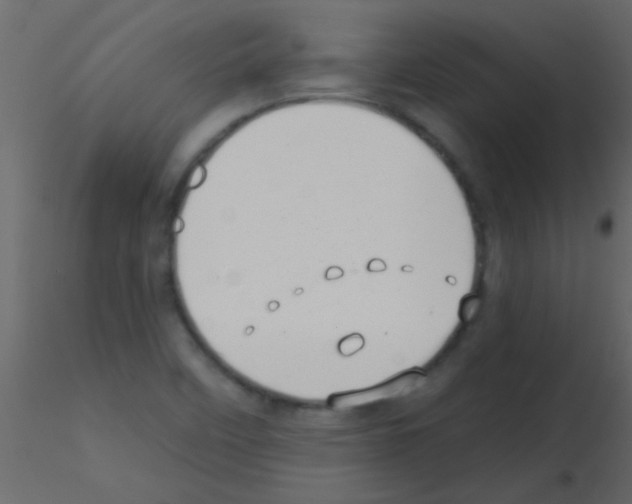 X0000115731458200912241616