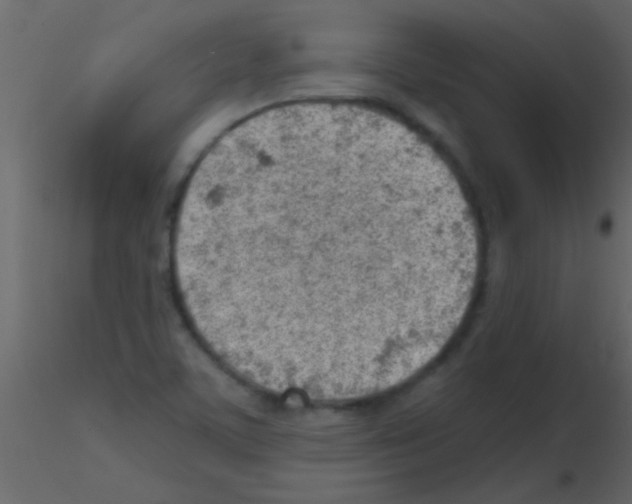 X0000115731459200912241616