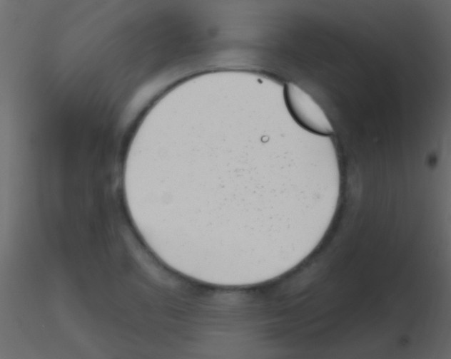 X0000115731461200912241616