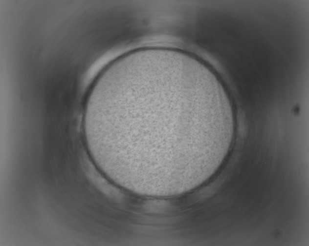 X0000115731462200912241616