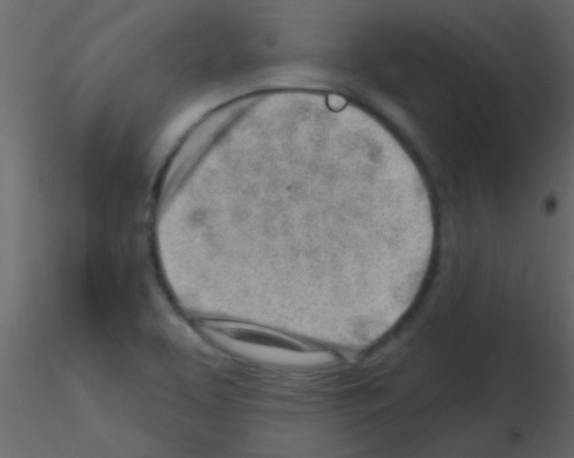 X0000115731463200912241616