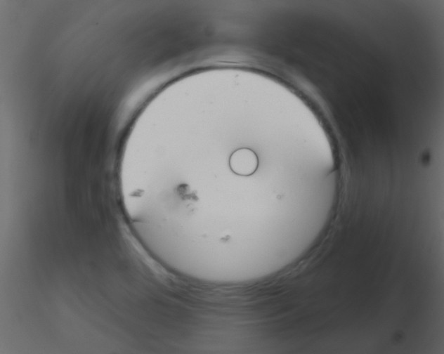 X0000115731464200912241616