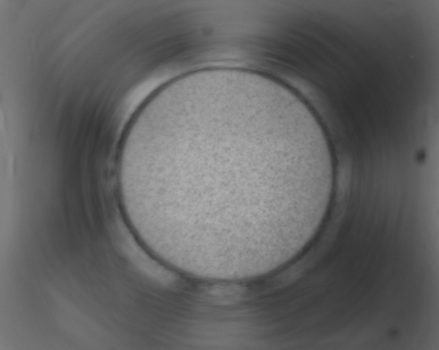 X0000115731466200912241616