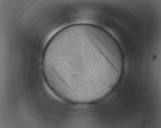 X0000115731468200912241616