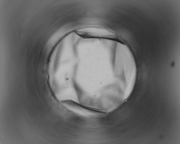 X0000115731472200912241616