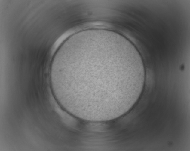 X0000115731474200912241616