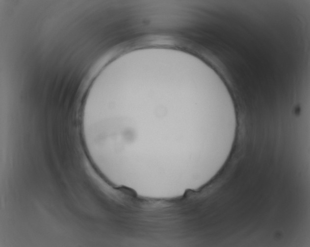 X0000115731475200912241616