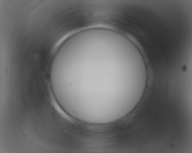 X0000115731476200912241616