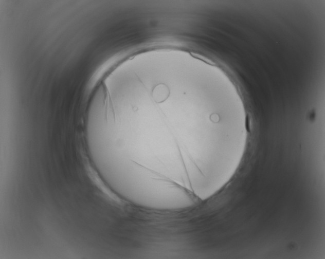 X0000115731477200912241616