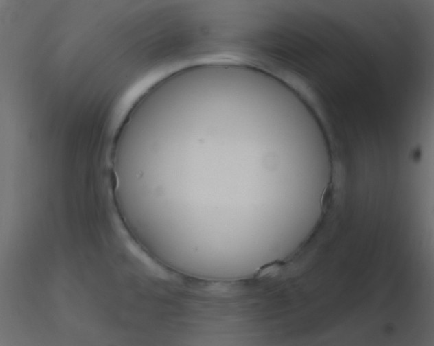 X0000115731480200912241616