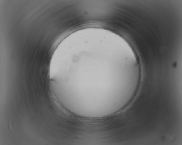 X0000115731481200912241616