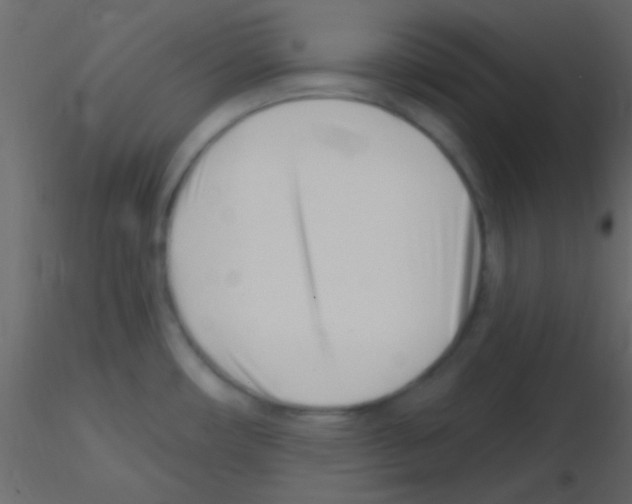 X0000115731482200912241616