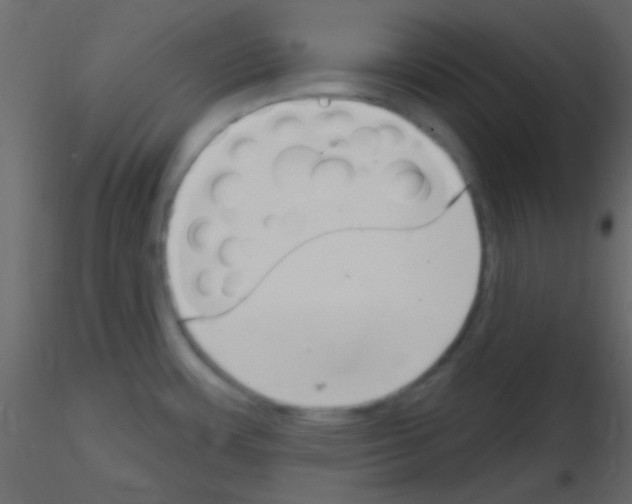 X0000115731483200912241616