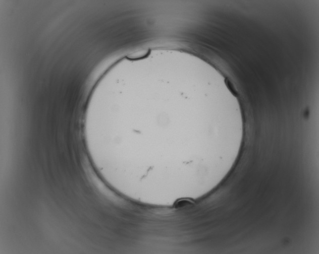 X0000115731484200912241616