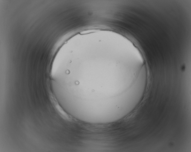 X0000115731485200912241616