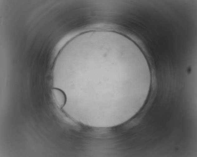 X0000115731486200912241616