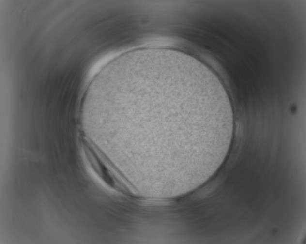 X0000115731487200912241616
