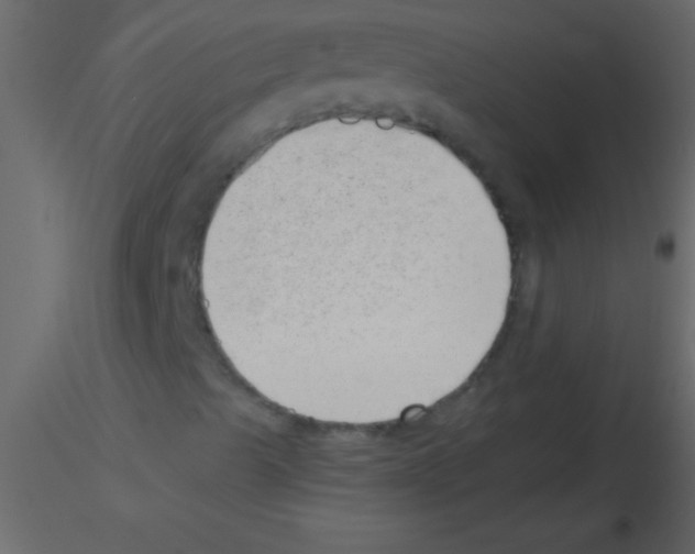 X0000115731489200912241615