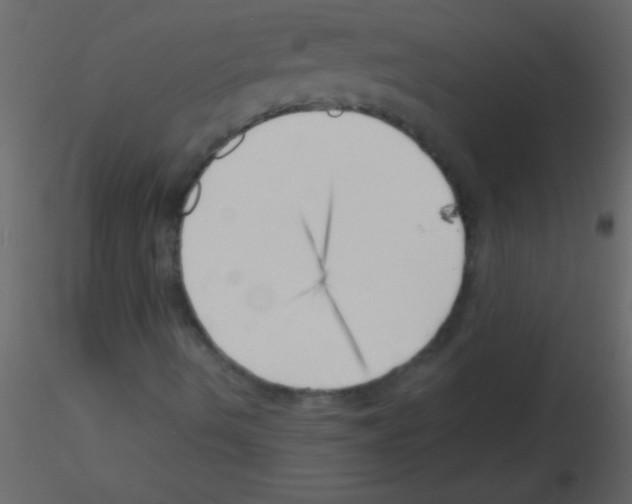 X0000115731490200912241615