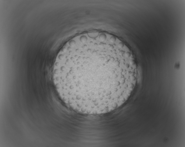 X0000115731491200912241615