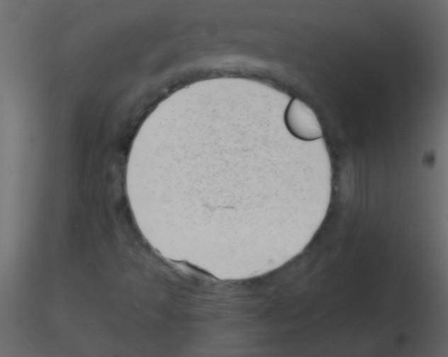 X0000115731493200912241615