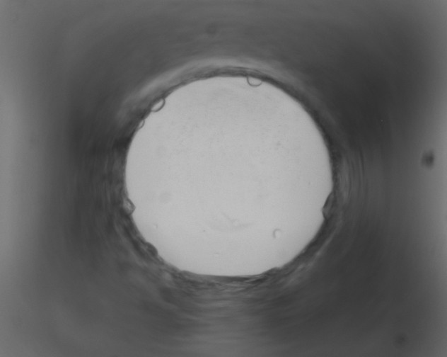 X0000115731494200912241615