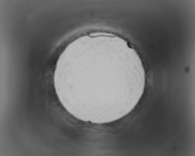 X0000115731495200912241615