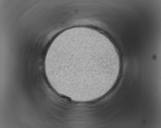 X0000115731497200912241615