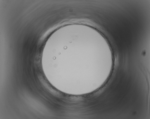 X0000115731498200912241615