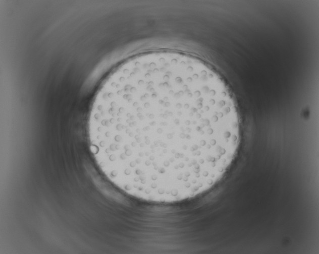 X0000115731499200912241615