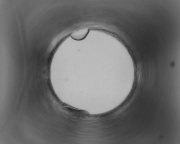 X0000115731501200912241615