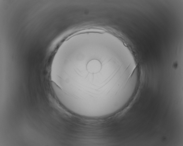 X0000115731502200912241615
