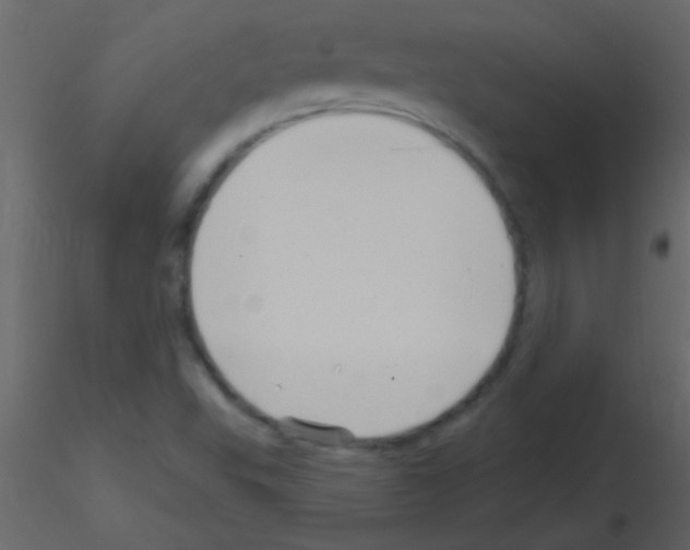 X0000115731503200912241615