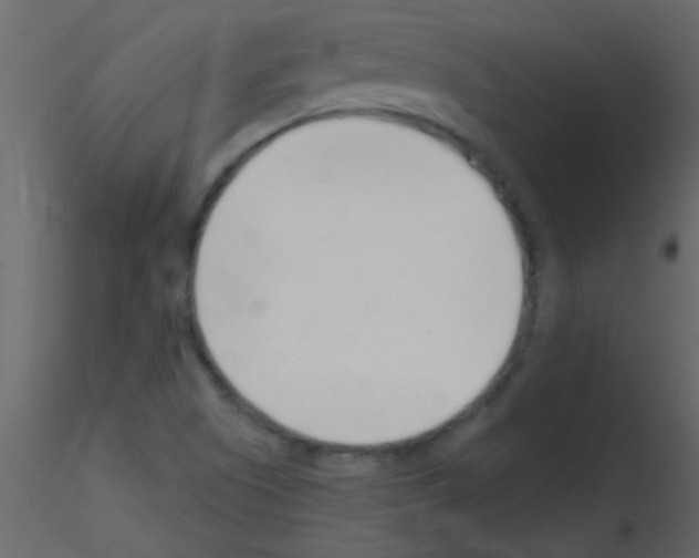 X0000115731505200912241615