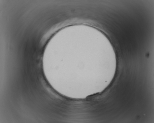 X0000115731507200912241615