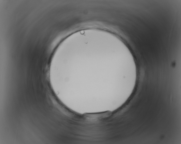 X0000115731509200912241615