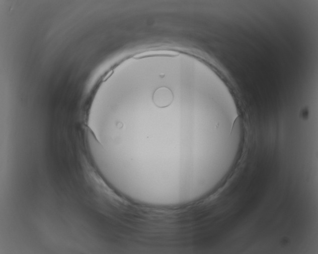 X0000115731510200912241615