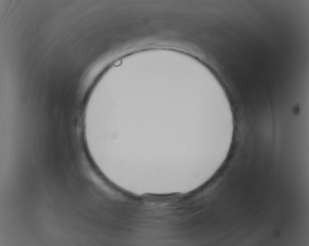 X0000115731511200912241615