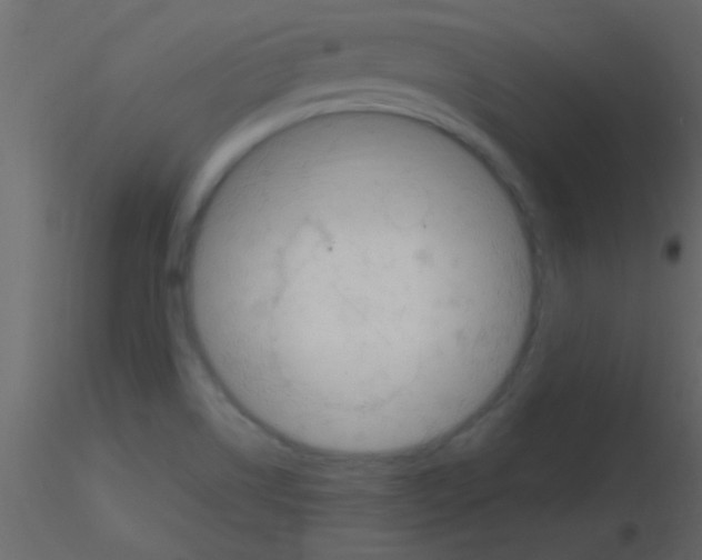 X0000115731514200912241615