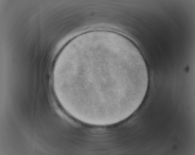 X0000115731515200912241615
