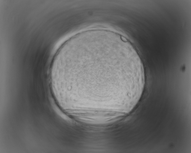 X0000115731519200912241615
