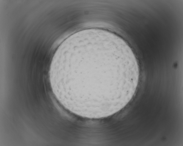 X0000115731521200912241615