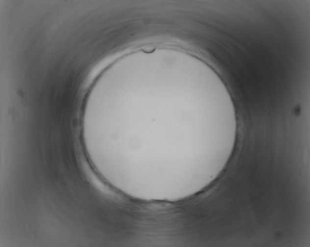 X0000115731523200912241615
