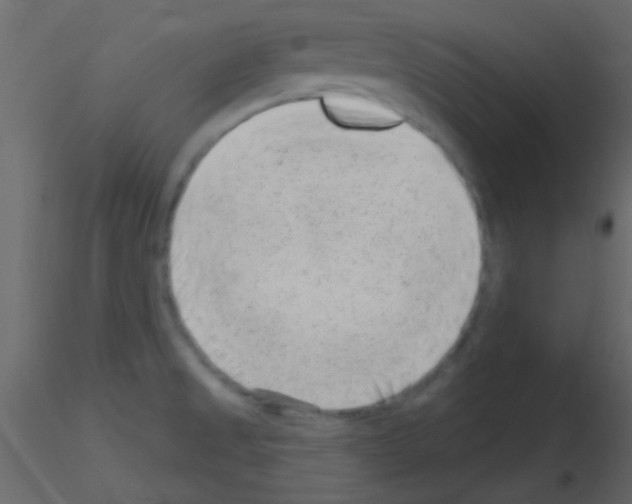 X0000115731525200912241615