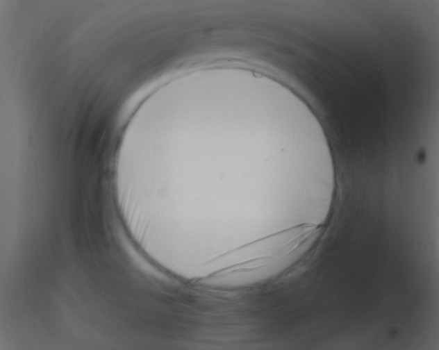 X0000115731526200912241615