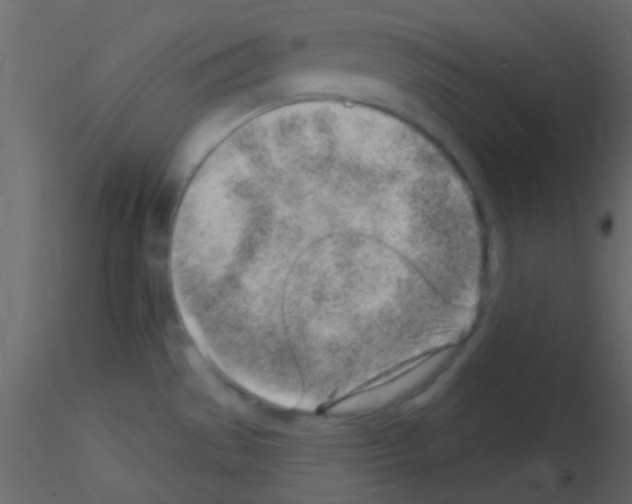 X0000115731529200912241616