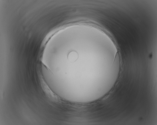 X0000115731530200912241616