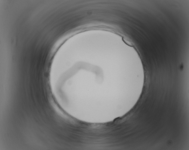 X0000115731531200912241616